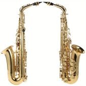 Eb Alto Saxophone Brass Lacquered Gold E Flat Sax 802 Key Type Woodwind Instrument with Cleaning Brush Cloth Gloves Strap Padded Case-178.64