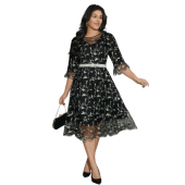 Floral Embroidered Ruffles Mesh Dress $42.90
