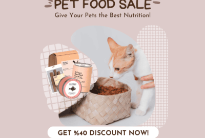 Untitled design (1) (1)